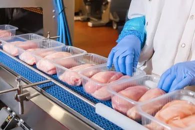 Food processing